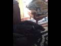 Video: Dog Only Responds To Treat