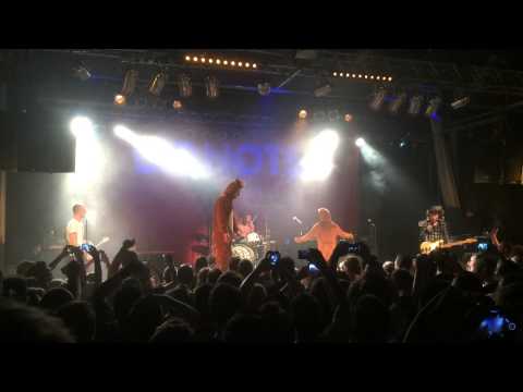 Donots – JAK 27.12.2013 Osnabrück – Wer hat die Kokossnuss geklaut – im Affenkostüm