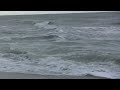 Sanibel Island, 11-11-09