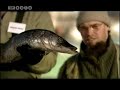 Havet Omkring Danmark (Afsnit 5) Havet Omkring Danmark (Afsnit 5)