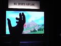 Wii Airplane Wii Airplane