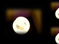 CocoRosie - Good Friday - Unofficial Fan Video