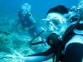 videos de Fushivaru Thila - Maldives
