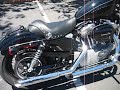 08-Harley-Sportster-
