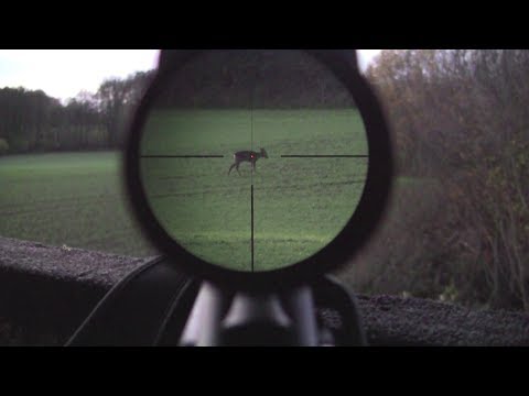 weibliches - Hier ein Video zur Jagd auf weibliches Rehwild im November. Bei Sonnenschein ist das Rehwild schon früh am Nachmittag unterwegs und man sollte im Feld gegen ...