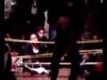 videos de Twintiger.avi