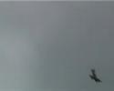 E-Flite Hawker Sea Fury first flight,with scale 5 blade prop