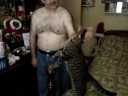 Kitten gets daily attention