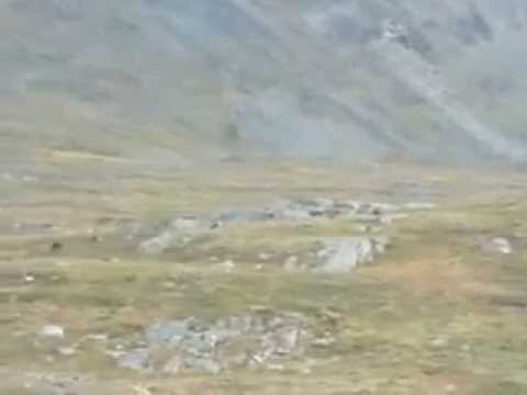 how to react maturely