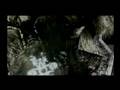 Yves Larock feat. Jaba - Rise Up