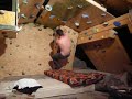 Training im Dachboden