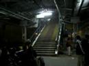 Station of Agra is full of birds