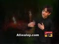 nana vich pardes