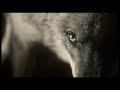Beyond my Control - Mylene Farmer