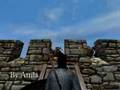 Mount & Blade Siege attempt
