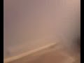 video (VIDEO_008.mpeg) video (VIDEO_008.mpeg)