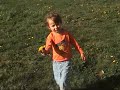 Pipin � Brun