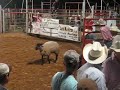 Little bull rider levi lain