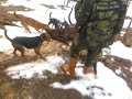 giresun kesap armelit ve d�zk�y dag?nda yapt?g?m?z domuz av?