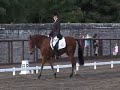 Necarne Pony 2* Dressage 2006 Mr Perky Perkins Necarne Pony 2* Dressage 2006 Mr Perky Perkins