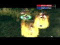 SRO Level 100 Sun Glavie PvP