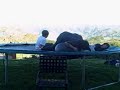 we were jumping on trampoline