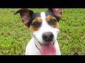 My Puppy Is A B*tch! (8.20.09 - Day 112)