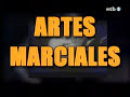 brandon lee reportaje