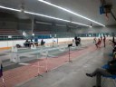 Calgary Longshots Flyball Video 1