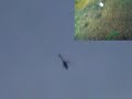 Flying RC Heli with on board cam like it hate it rate i