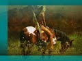 native american music/ ly o lay ale loya