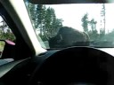 Bison Jam