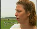 Koeien onder bomen cowgirls bellydance buikdans