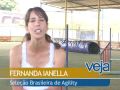 Conheça o agility, um esporte bom para cachorro