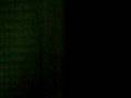 videos de Sweet Gum - Video 4