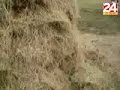 Ekskluzivno-Video-Fa