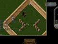 uo pvp uo pvp