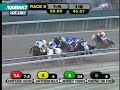 Jersey Town - The Cigar Mile (G1) 