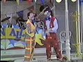 The Crash Brothers at Disneyland
