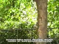 Serviced Office video