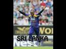 Cricket World Cup