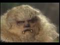 videos de FTT (S3) - 