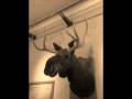 NAHU-PADILLA-CIRCUS-