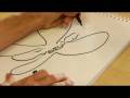 Drawing From Nature : How to Draw Butterflies