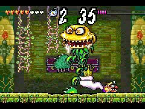 Wario Land 4