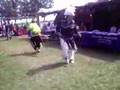 indian summer festival 07