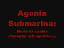 AQUECIMENTO GLOBAL