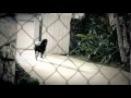 Night Rod Special -- Unchained - Harley-Davidson Commmercial