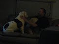 Sweetie loves giving kisses Sweetie loves giving kisses