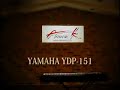 Yamaha Clavinova YDP-151